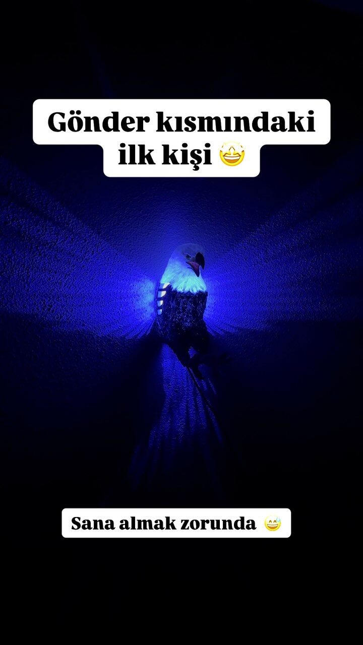 Instagram post from hediyelik3d.esya. This post is in position 7.